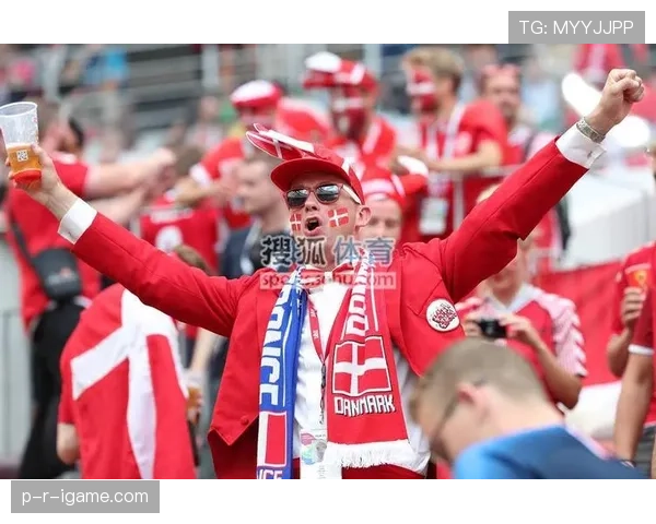丹麦球迷激情助威，赛场团结氛围再创新高