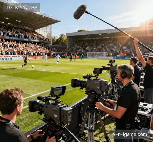 引领行业的原因